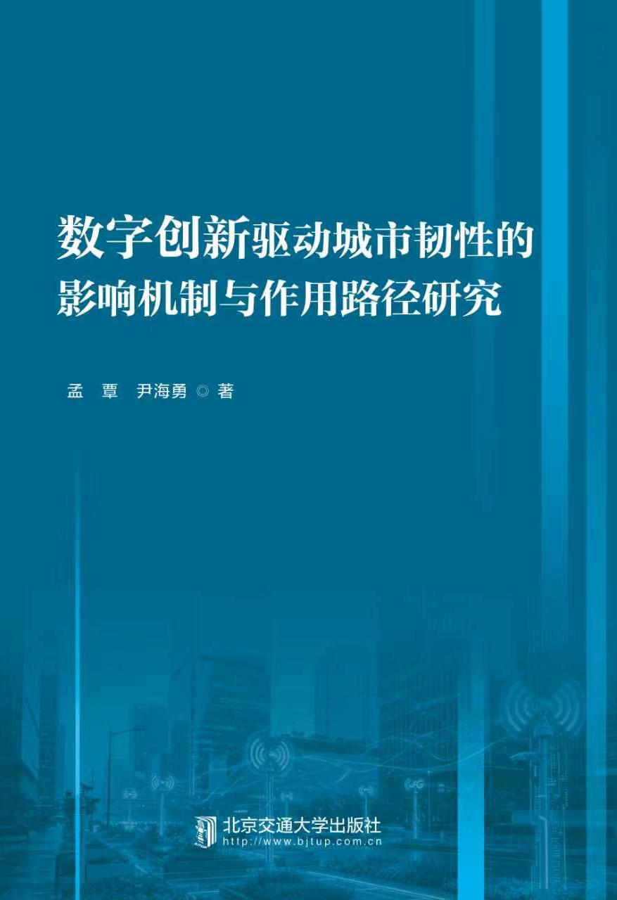 数字创新驱动城市韧性的影响机制与作用路径研究