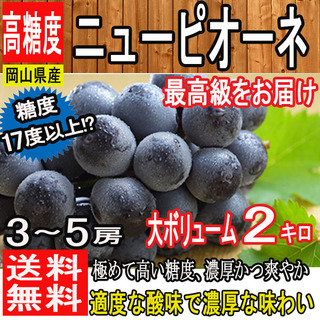 岡山県の名産品 特産品のお取り寄せ 岡山県の名産品 特産品のお取り寄せ